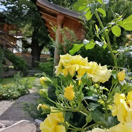 Апартаменты Seppi